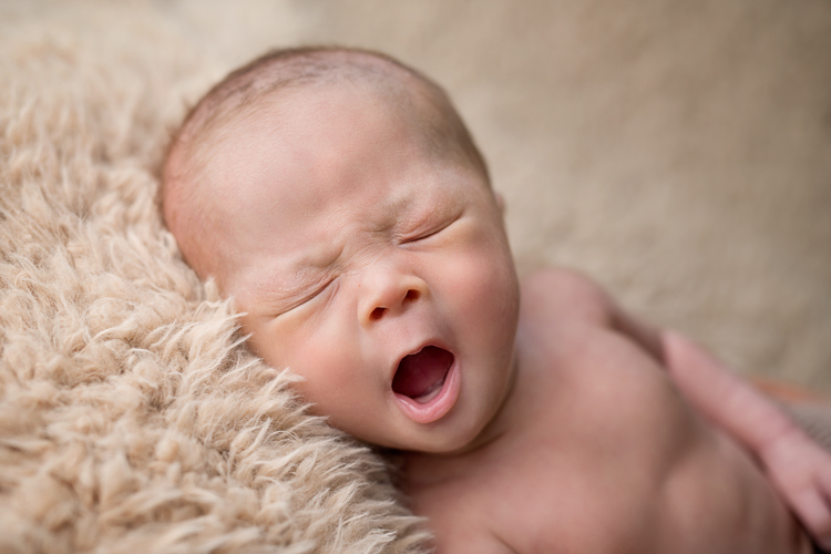 San Diego Newborn Photographer San Diego Newborn Photographer. Baby yawn