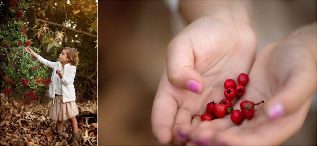 San Diego Family photographer, San Diego Newborn Photographer. Marian Bear park. Family of three. little girl collecting berries