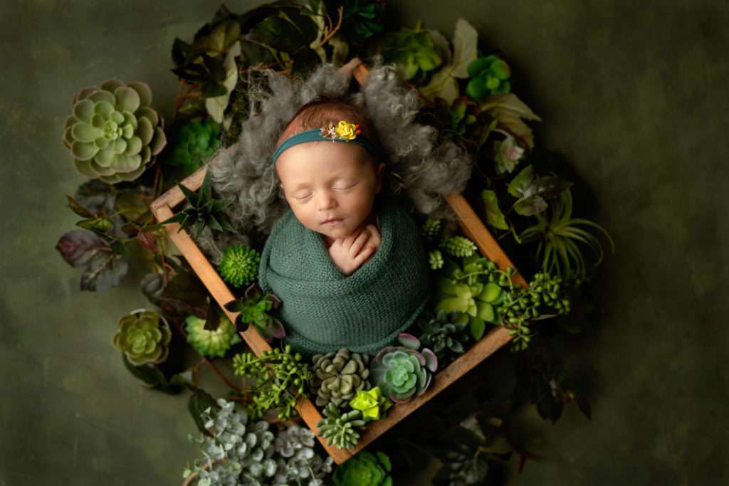 newborn baby girl sleeping in the box full of succulents