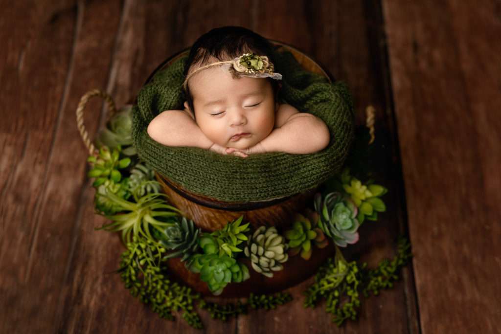 newborn baby girl in a decorative bucket surrounded by succulents