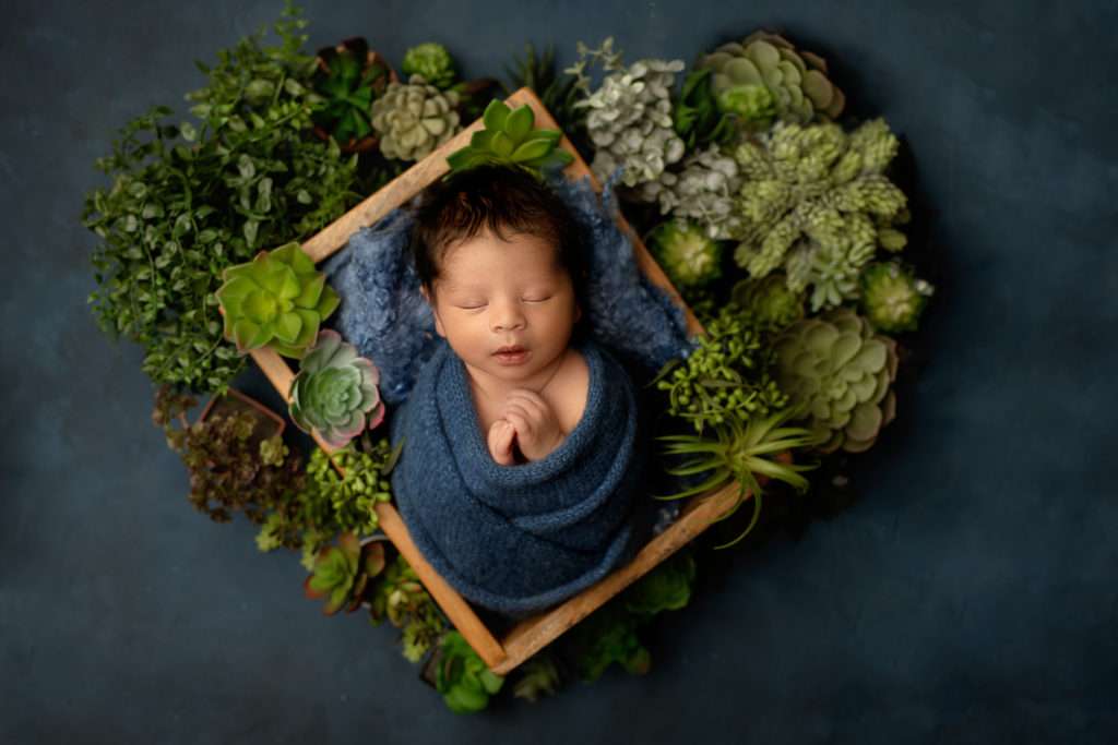 San Diego Newborn photographer, Newborn studio San Diego, Newborn pictures San Diego 
